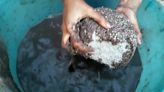 Grainy Gritty Red Dirt Sand Cement Water Crumbles Cr: Mini Libi ASMR