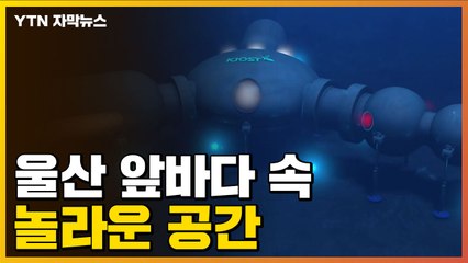 [자막뉴스] 울산 앞바다에 놀라운 공간 생긴다 / YTN