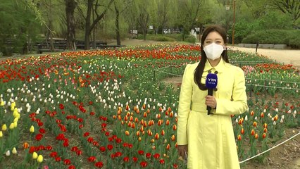 [날씨] 전국 흐리고 서늘, 서울 16℃...동해안·제주도 '너울' 주의 / YTN