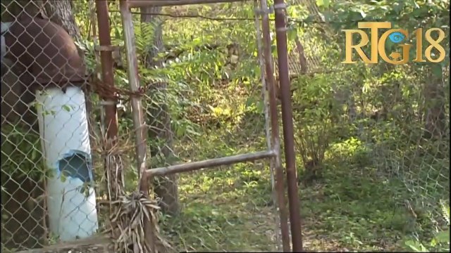 Direktè jeneral SESAM la Hugues V. Victor denonse zak sabotay yon gwoup endividi fè sou rezo DINEPA.