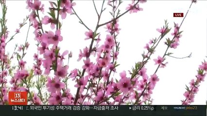 [날씨] 예년 이맘때 보다 서늘…해상 높은 물결