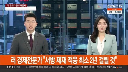 러 경제전문가 "서방 제재 적응에 최소 2년 걸릴 것"