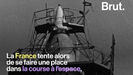 Une vie : Félicette, chat de l'espace