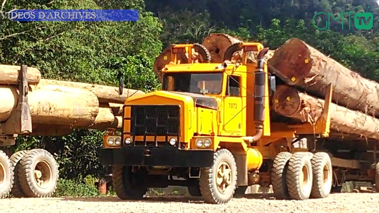 [#Reportage] Gabon: 2,5 millions de grumes produites à fin décembre 2021