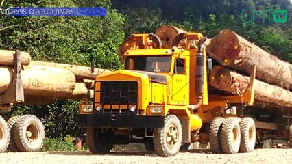 [#Reportage] Gabon: 2,5 millions de grumes produites à fin décembre 2021