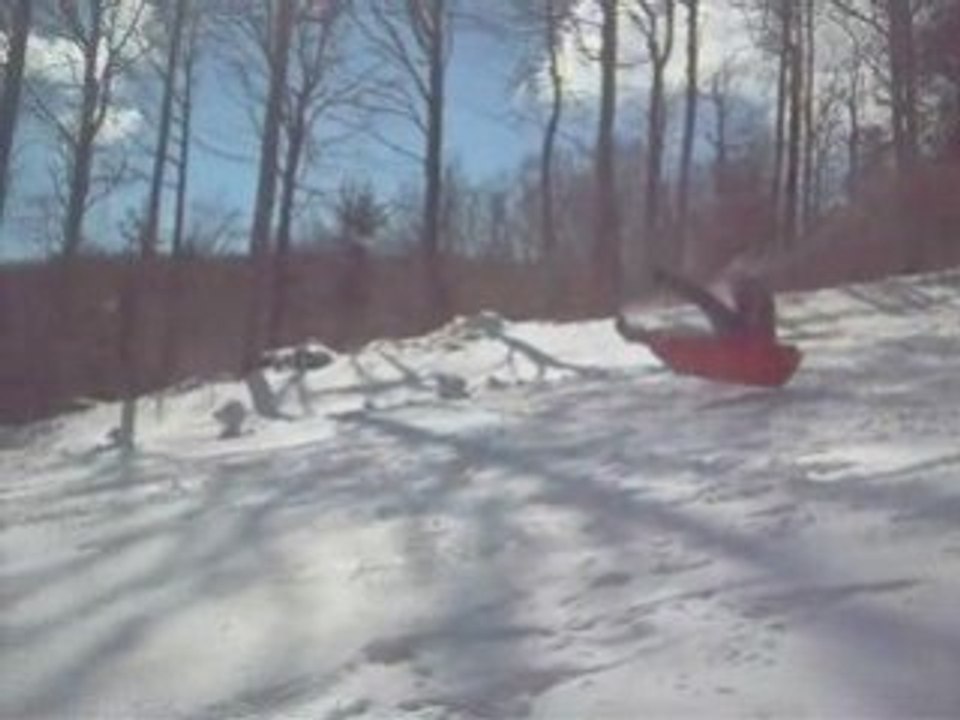 Luge_party