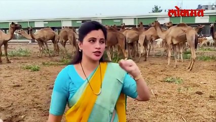 नवनीत राणांना Y प्लस सुरक्षा