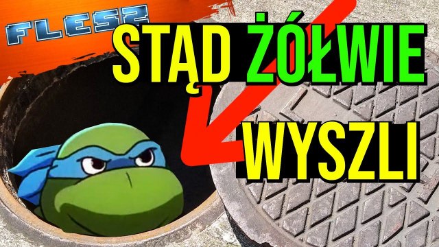 Bohaterowie, którzy zasłużyli na powrót. FLESZ - 11 marca 2021