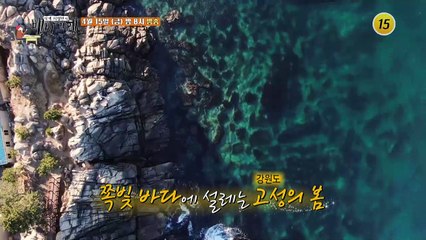 찐 동해바다! 고성 밥상_허영만의 백반기행 148회 예고 TV CHOSUN 220415 방송