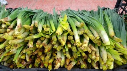 Şifa kaynağı 'çiriş otu' tezgahlardaki yerini aldı