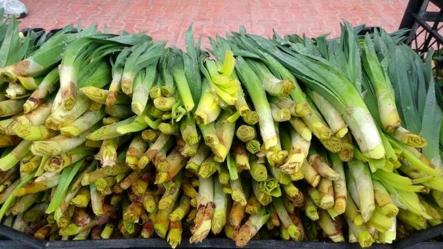 Şifa kaynağı 'çiriş otu' tezgahlardaki yerini aldı