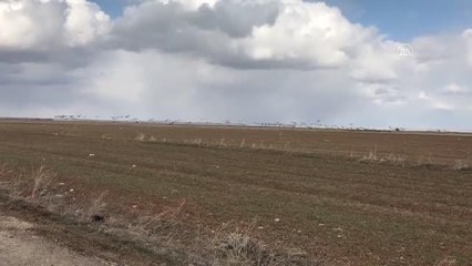 Son yağışlar Seyfe Gölü Havzası'nı yeterince besleyemedi