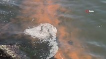 Plankton patlaması başladı, Marmara Denizi'nin Tekirdağ kıyıları turuncuya büründü