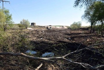 EDİRNE'DE TARIM ALANLARINA YAYILAN ZİFTİN TEMİZLİĞİNDE SONA GELİNDİ