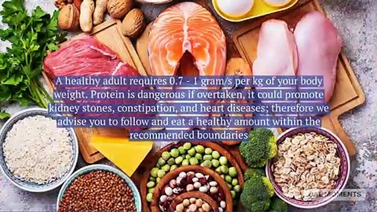 Protein-rich foods to implement in your daily diet