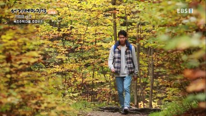 세계테마기행 - 꿈꾸는 동유럽- 기억의 시간, 폴란드_#001