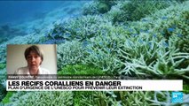 Récifs coralliens en danger : plan d'urgence de l'UNESCO pour prévenir leur extinction