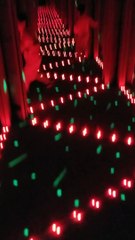 Kid Gets a Little Too Confident in Mirror Maze