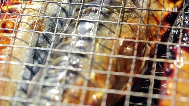 한국기행 - Korea travel_나의 낭만 실현기 4부- 우리에게 다시 봄_#001