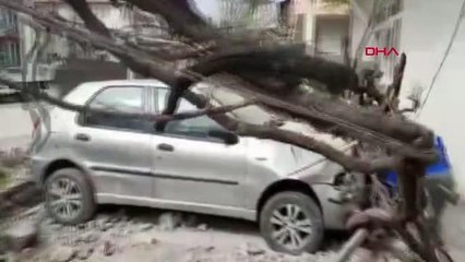 DİREKSİYONDA RAHATSIZLANDI, EVİN BAHÇESİNE DALDI