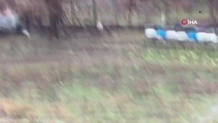 Yemek aramak için şehir merkezine inen dağ keçisi, tel örgüye takıldı