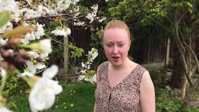 Francesca Atkinson has set up a fundraiser to raise money for a memorial bench at RPH