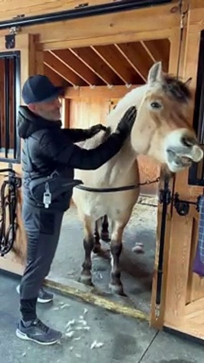 Going Hands-On Keeps Horses Happy