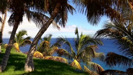 Relaxing Sleep Music | Deep Sleeping Music | Relaxing Music | Meditation Music