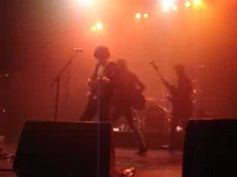 BB Brunes concert Le gang - Clermont-Ferrand