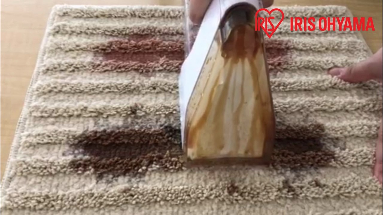 IRIS OHYAMA Rinser Cleaner RNS-300