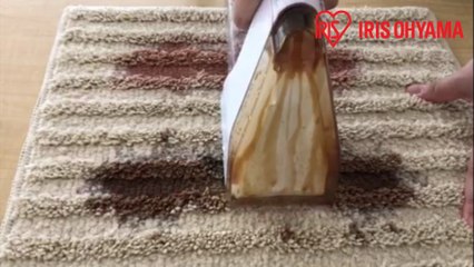 IRIS OHYAMA Rinser Cleaner RNS-300
