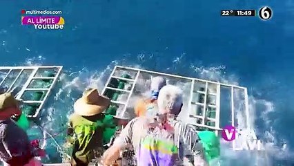 Tiburón rompe caja de buceo; hombre casi termina devorado