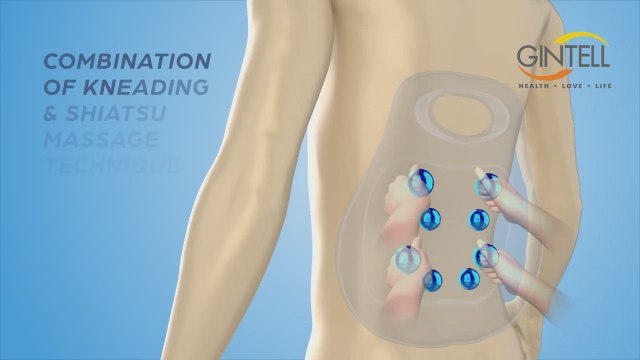 Gintell G-Petite Portable Massage Cushion
