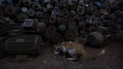 Yeni Delhi'nin Müslüman tüccarları iftar sofralarını umudun sembolü olarak görüyor