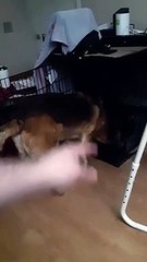 'It's Like Nothing Ever Happened'