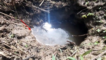 Ini Belut apa Buaya gaes !!!