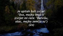 Ja upitah žuti cvijet - Bosanska ilahija (studijska matrica)