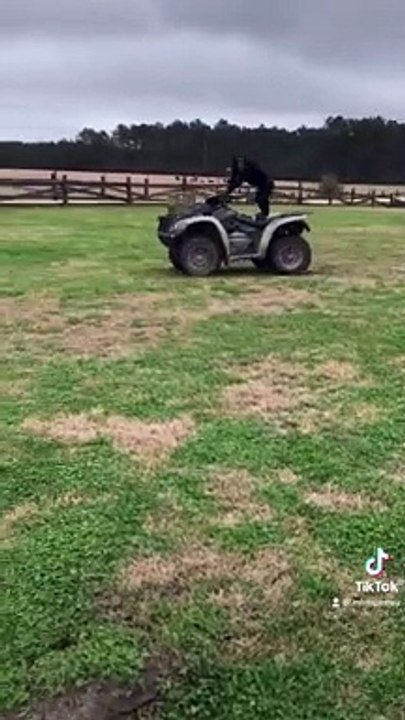 Chimpanzee Driving Around a Quad