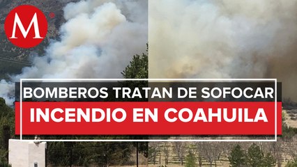 Reportan incendio forestal en Sierra de Arteaga, Coahuila