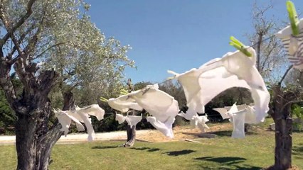 5 Nature Moments Caught On Cameras