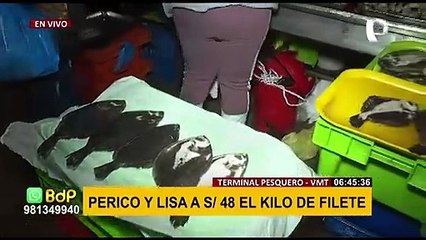 Jueves Santo: personas se amanecen para conseguir pescado en terminal de VMT
