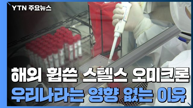해외 휩쓴 스텔스 오미크론, 우리나라에는 영향 없는 이유 / YTN