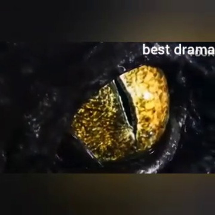 افلام اكشن جديدة مترجمة 2022التمساح القاتل