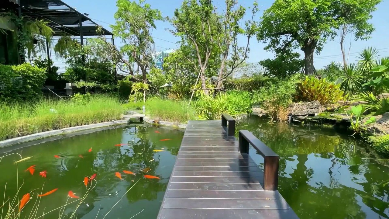 Koo.Koo Cafe at Sai Noi District in Nonthaburi Province Thailand