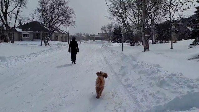 Multi-day snowstorm turns the northern Plains into a mid-April winter wonderland
