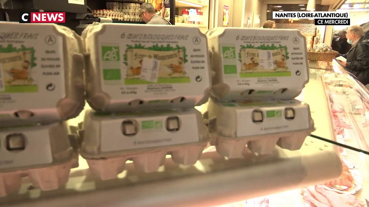 Grippe aviaire : explosion du prix des oeufs