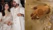 Alia Bhatt Wedding Diamond Ring Flaunt, Price सुनकर उड़ेगे होश | Boldsky