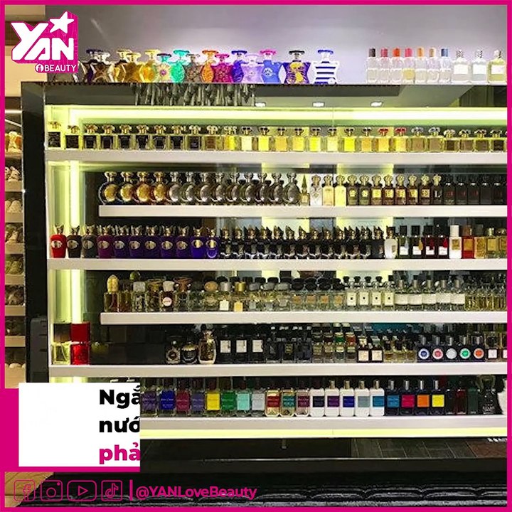 Những Sao Việt Có Thú Chơi Đặc Biệt: Đào Bá Lộc Sưu Tầm Giày Cao Gót | Điện Ảnh Net