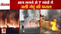 Hundreds Acres Of Wheat Crop Destroyed By Fire In Villages At Rohtak|7 गांवों में जली गेहूं की फसल