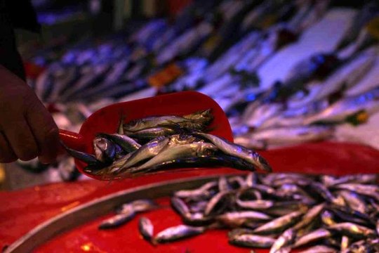 Sezonun son balıkları tezgahlarda